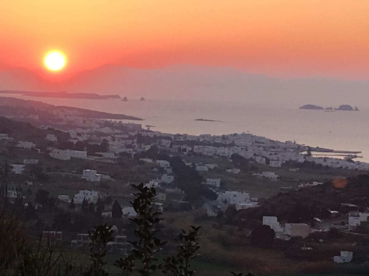 Paros Villas Nereids מראה חיצוני תמונה